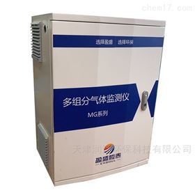 MG系列恶臭监测仪